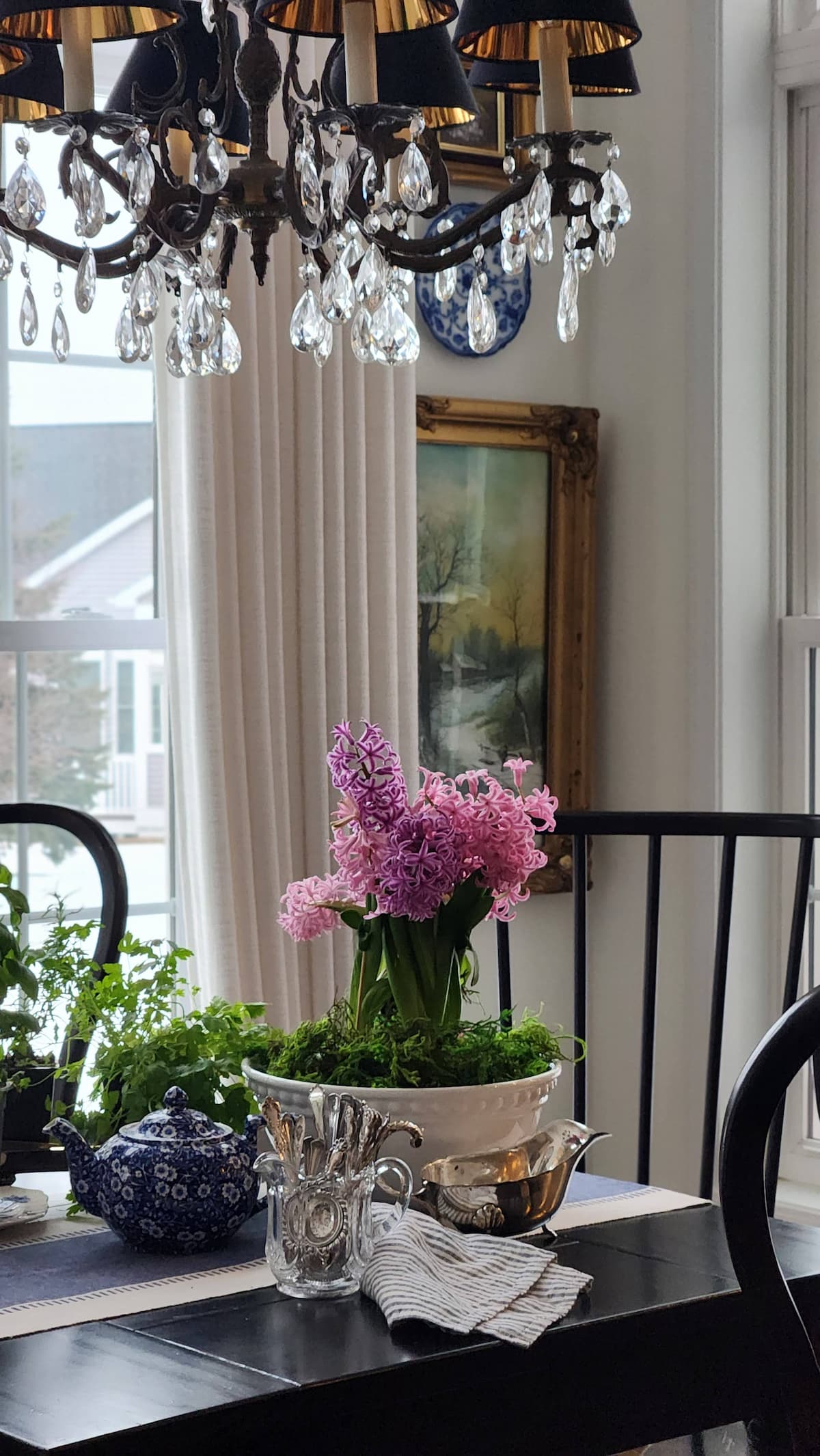 Tips for Fertilizing Indoor Plants in Winter
