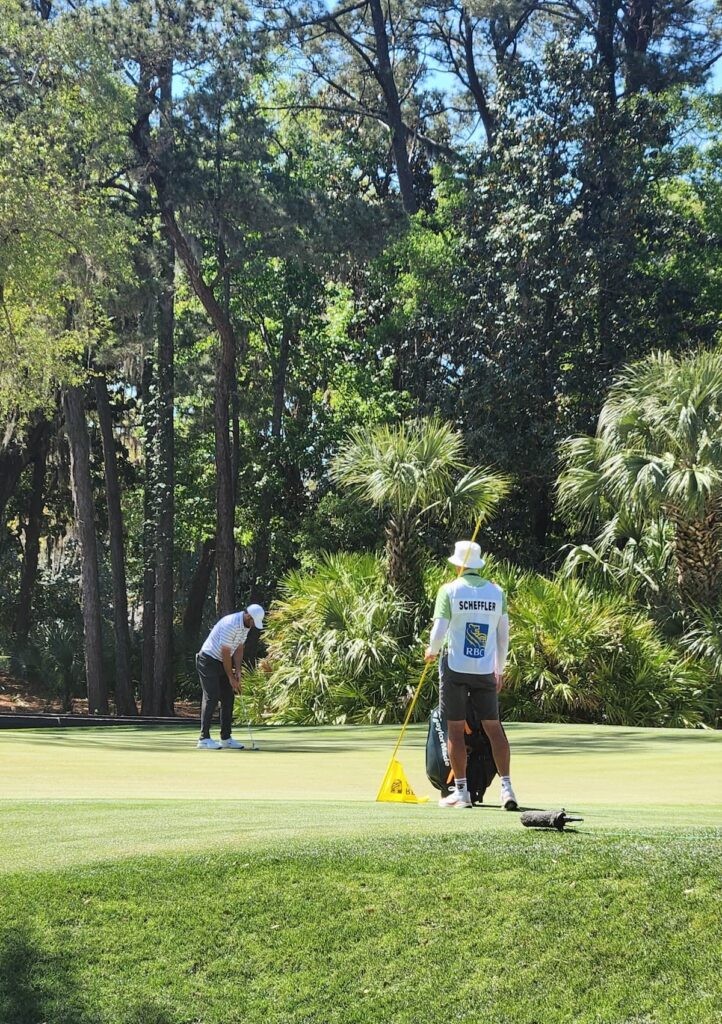 rbc heritage scottie scheffler harbour town 