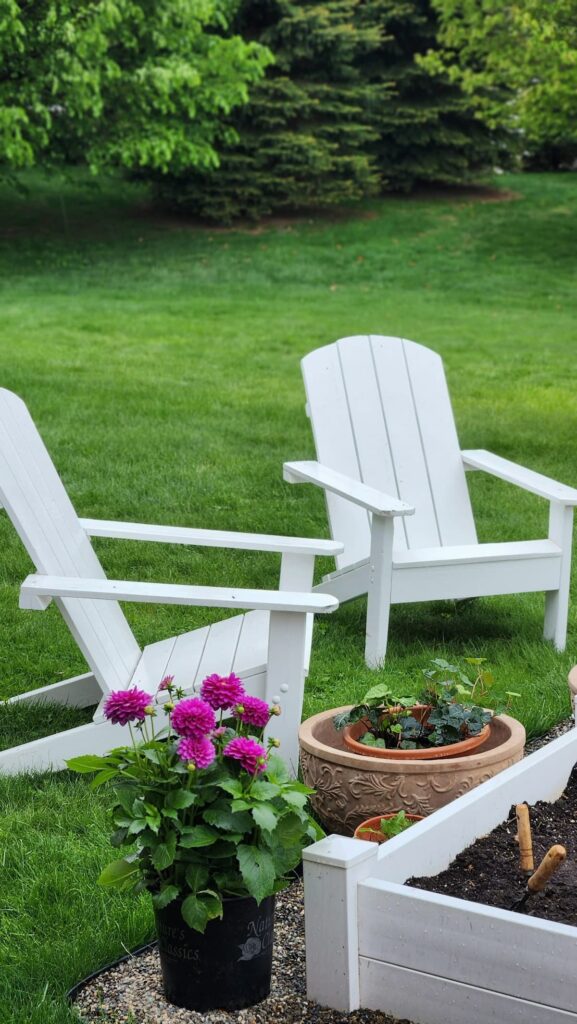 White Adirondack chairs beside white raised garden bed with magenta dahlia in nursery pot spring garden