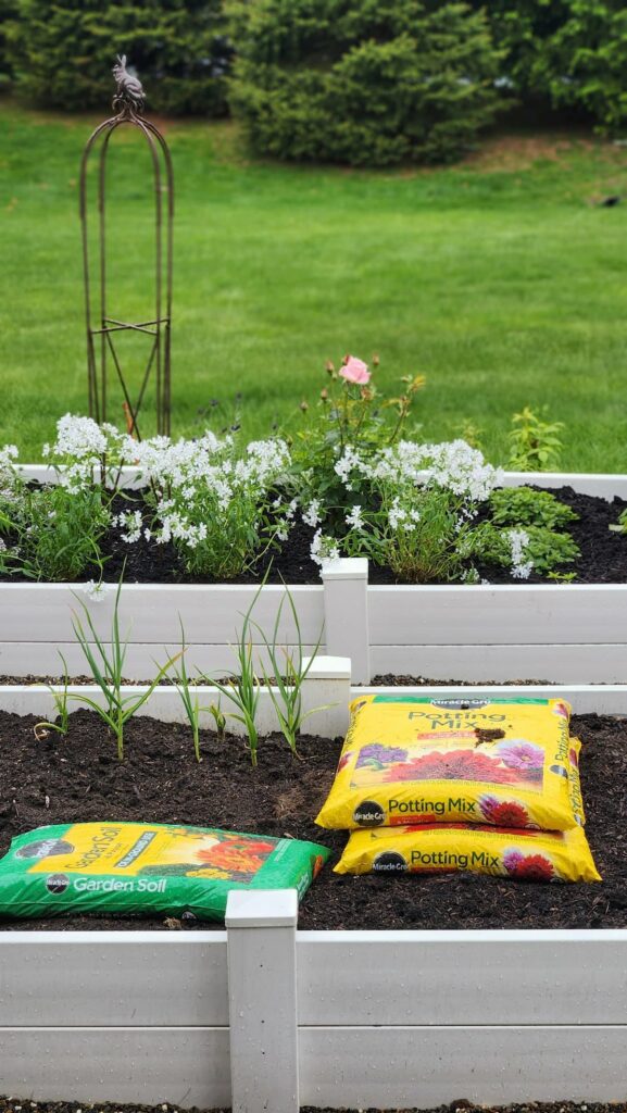 White raised kitchen garden bed being filled with Miracle Gro garden soil and potting mix with scallions sprouting and English flower garden blooming behind