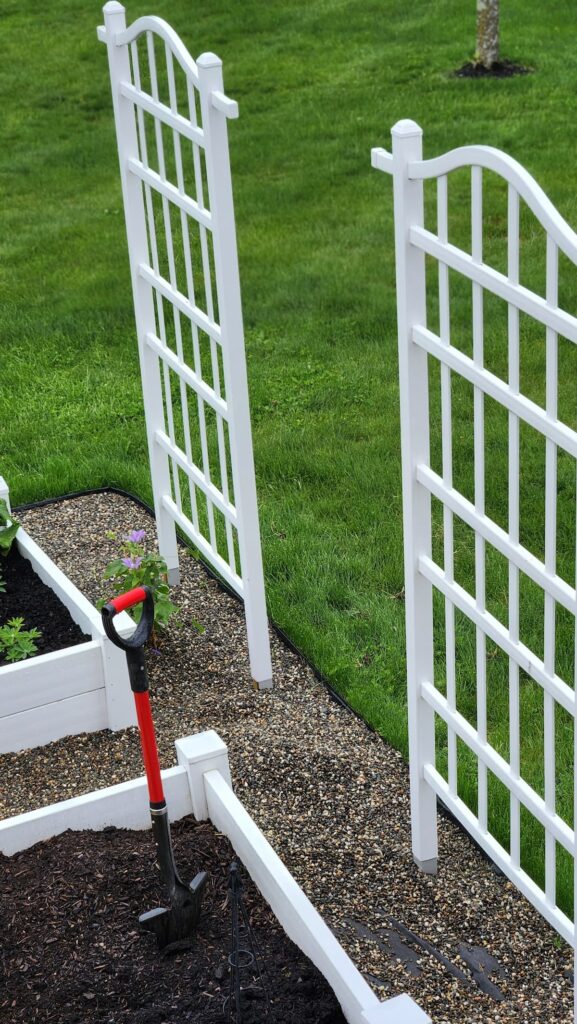 Two white garden trellises side by side with raised beds and red handle shovel spring garden planting day