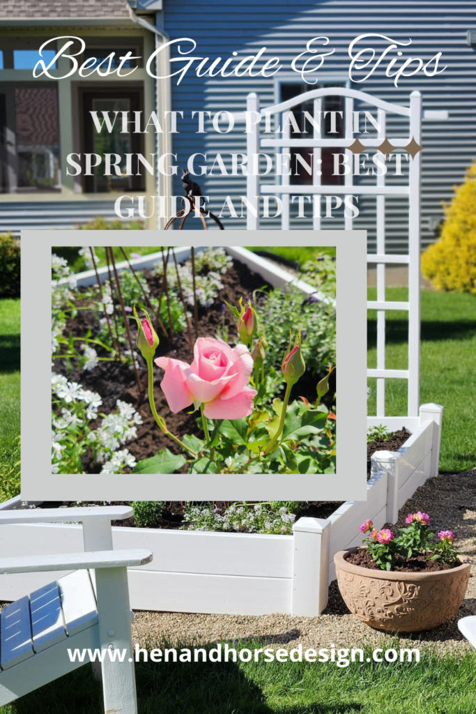 Spring raised bed English garden with pink rose and white phlox — what to plant in spring garden best guide and tips at henandhorsedesign.com