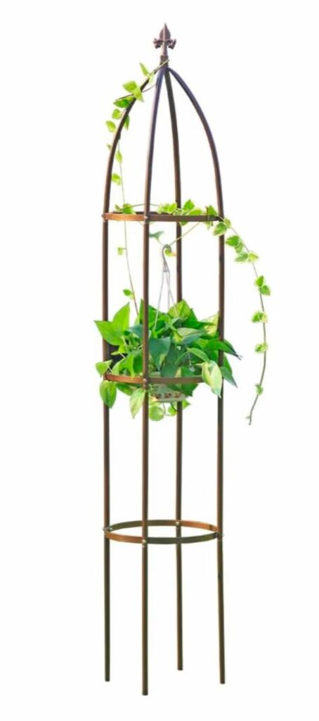 Tall black iron garden obelisk trellis with fleur-de-lis finial and trailing ivy