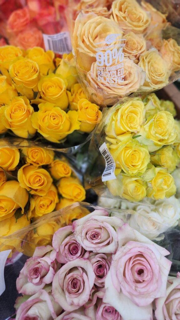 Colorful rose bouquets at Trader Joes flower section in yellow orange and pink varieties